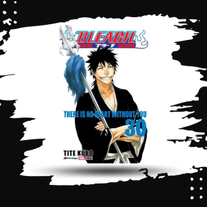 BLEACH N.30